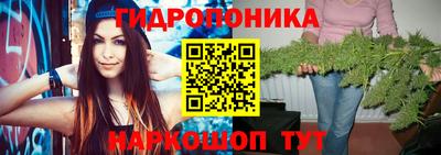 шишки Шахты