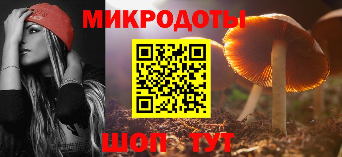 Галлюциногенные грибы прущие грибы Брянск