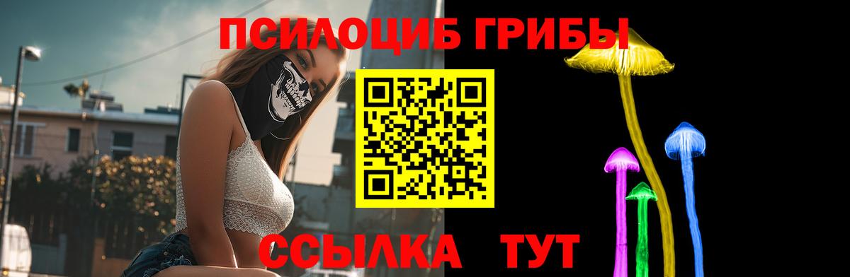 Брянск  купить закладку  Вход с VPN  Галлюциногенные грибы ЛСД 